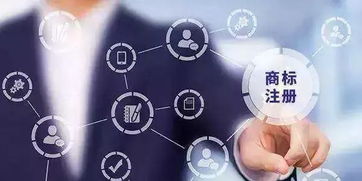 智慧应对商标查询的盲查期 信息咨询服务的策略与指南